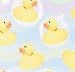 Rubber Ducky Gift Wrap