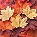 Package of Approximately 80 Assorted Rich Fall Colored Silk Maple Leaves for Weddings, Events and Decorating