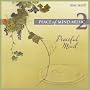 Peace of Mind 2:  Peaceful Mind