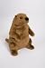 Mr G Groundhog 6" by Douglas Cuddle Toys
