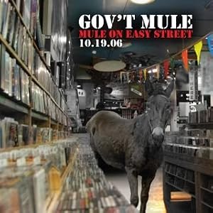 Mule on Easy Street