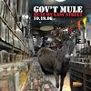 Mule on Easy Street
