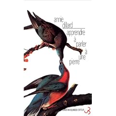 Apprendre � parler � une pierre