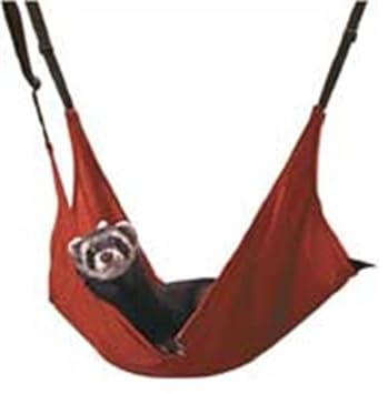 lamentable-flimsy-ferret