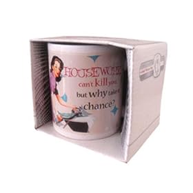 HOUSE WORK CAN'T KILL BUT WHY TAKE A CHANCE MUG