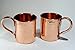 Alchemade 100% Pure Hammered Copper Mug Set - Set of 2 14 Oz Cups For Moscow Mules, Cocktails, Or Your Favorite Beverage - Keeps Drinks Colder, Longer