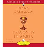 Dragonfly in Amber