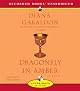Dragonfly in Amber