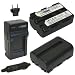 Wasabi Power Battery and Charger Kit for Sony NP-FM500H and Sony CLM-V55, Alpha SLT-A57, A58, A65, A65V, A77, A77V, A99, A100, A200, A300, A350, A450, A500, A550, A560, A580, A700, A850, A900