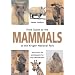 Field Guide to the Mammals of the Kruger National Park (Field Guide)