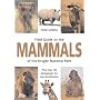 Field Guide to the Mammals of the Kruger National Park (Field Guide)