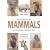 Field Guide to the Mammals of the Kruger National Park
