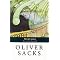 Oliver Sacks