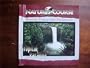 Tropical Paradise - Journey thru our environment
