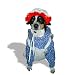 Raggedy Ann Pet Costume (Large)