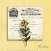 Gro-Seeds in Yellow by Marie Frederique. Size 12.00 X 12.00 Art Poster Print