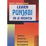 Learn Punjabi in a Month