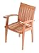 Tramontina Smartwood Garden Arm Chair