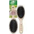 Ebelin Holzb�rste oval Naturborste, 1 St�ck