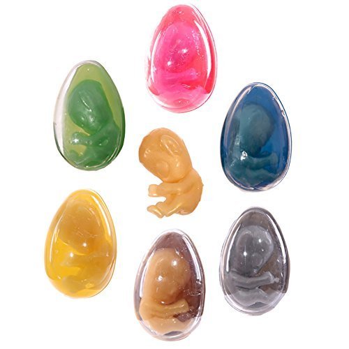 Alien Baby in Slime with Egg Capsule Holder
