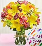 Flowers by 1800Flowers - Fields of Europe Get Well - Large