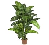 41RNjwe2 nL. SL160  5 Dieffenbachia Silk Plant (Real Touch)