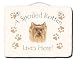 yorkshire_terrier21yorkshire terrier - Yorkshire Terrier Spoiled Rotten Slate