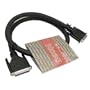 Hosa DB25 to DB25 Analog Snake Cable (DBD-315) - 15 ft.