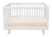 Furniture online: babyletto Hudson 3 in 1 Convertible Crib with Toddler Rail, White