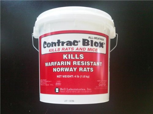 Cheap 4x4 lbs Contrac Blox Rat & Mice Bait