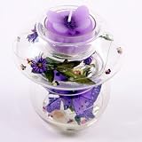 Kitchen & Housewares : Butterfly in Glass Vase T-Lite Holder