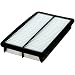 FRAM CA10013 Rigid Panel Air Filter