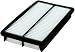 FRAM CA10013 Rigid Panel Air Filter