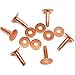 6 Pack #9 Solid Copper Rivets With Burrs-Stirrup Rivets-Blevins Buckle Rivets-Saddle Repair Rivet (3/4)
