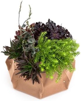 Woolly Pocket Island Lana w/Reservoir (works indoors and outdoors) (Color: Camel Hair) Garden (Modular, Sustainable, Eco, Green) Planter