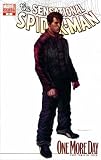  : The Sensational Spider-Man #41 : One More Day Part Three (Marko Djurdjevic Variant Cover - Marvel Comics)