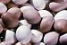 Historic Chicken, Eggs & Poultry Films DVD: Classic Food Safety & Meat Agriculture Mo...