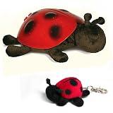 Cloud b Twilight Constellation Night Light PLUS Ladybug keychain with LED