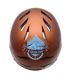  : Giro Flak Mountain Bike Helmet (Metallic Brown Cowan Signature Edition, Small)