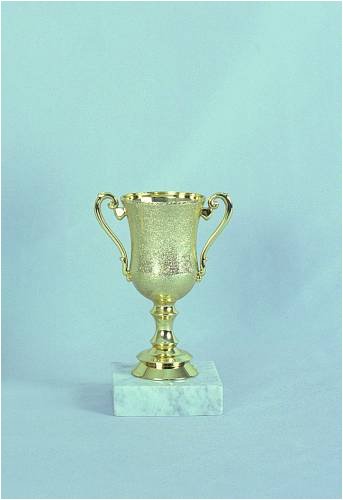 Pokal 