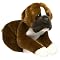 Big-Wag (a golden retriever) Recommends