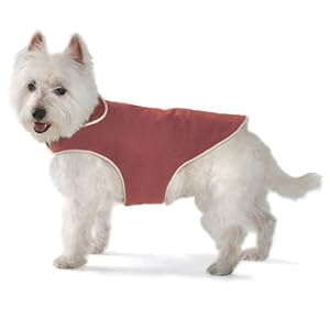 Dog Gone Smart Jacket with Ecru Piping for Dogs, 32-Inch, Red