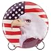 Patchwork Eagle and Flag Collector Plate