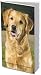 golden_retriever7golden retriever - Golden Retrievers 2010 Pocket Planner