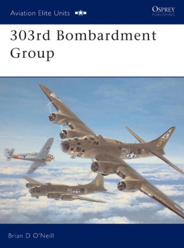 303rd Bombardment Group (Aviation Elite Units)