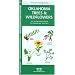 Oklahoma Trees and Wildflowers : An Introduction to Familiar Species (Pocket Naturalist - Waterford Press) (State Nature Guides)