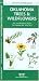 Book Oklahoma Trees and Wildflowers : An Introduction to Familiar Species (Pocket Naturalist - Waterford Press) (Pocket Naturalist - Waterford Press)