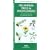 Oklahoma Trees and Wildflowers : An Introduction to Familiar Species (Pocket Naturalist - Waterford Press) (State Nature Guides)