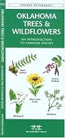 Oklahoma Trees and Wildflowers : An Introduction to Familiar Species (Pocket Naturalist - Waterford Press) (Pocket Naturalist - Waterford Press)