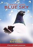  : Share the Blue Sky -  Pigeon Stories